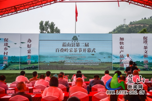 蓝山县举办第二届百叠岭采茶节活动